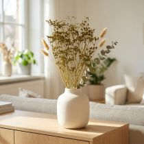 Prodotto Fiori secchi, decorazione verde cumino, mazzo da 55 cm, 5 pezzi – Decorazione secca e fiori artificiali