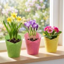 Prodotto Carta per fioriere intrecciata rosa, gialla, verde Ø7cm A13cm 12pz