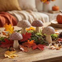Prodotto Funghi in legno funghi decorativi decorazione da tavolo autunno marrone naturale 5×6 cm 8 pz