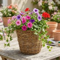 Prodotto Cesto portavaso per vite Ø25cm H22.5cm, fioriera naturale
