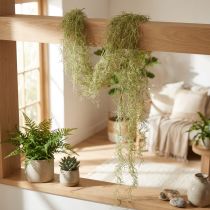 Prodotto Tillandsia decorativa da appendere Tillandsia artificiale verde bianco 180 cm