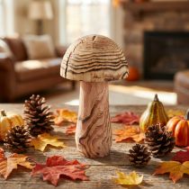 Prodotto Fungo di legno da appoggio, fungo decorativo, Paulownia in legno Ø15cm H28cm