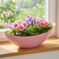 Prodotto Barchetta portafiori in plastica rosa 28×9×9 cm 3pz