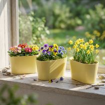 Prodotto Ciotola per piante ovale gialla decorativa in plastica 20×10×11cm 3 pezzi