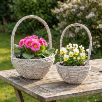 Prodotto Set di 2 cesti portapiante in paglia, colore naturale, bianco, Ø23/28, stile shabby chic