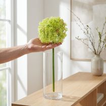 Prodotto Cipolla ornamentale artificiale fiore verde allium Ø18cm 90cm