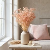 Prodotto Decorazione Gypsophila Arancio Erbe secche Pesca 65-70cm 100g