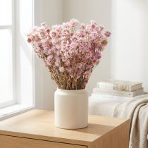 Prodotto Mazzo di fiori secchi Decorazione secca Camomilla Rosa 65cm 50g