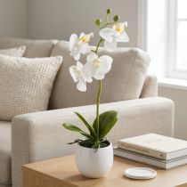 Prodotto Fiori artificiali di orchidea bianca in vaso Phalaenopsis H33cm