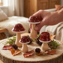 Prodotto Funghi di legno, funghi velenosi, decorazione, legno, FSC, rosso-marrone, H6,5/7 cm, 4 pezzi