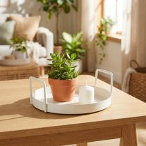 Prodotto Vassoio per piante versatile, adatto sia per la casa che per il giardino, 18 cm