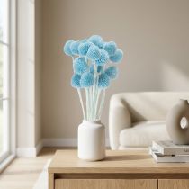 Prodotto Craspedia, fiori secchi decorativi per vaso, stile minimalista, decorazione estiva di lunga durata, 55 cm, 20 pezzi