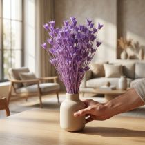 Prodotto Bouquet di fiori di nigella essiccati, ideale come elemento decorativo in soggiorno, crea un'atmosfera unica, 70 cm, 50 g.