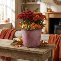 Prodotto Vaso autunnale, secchio per piante, decorazione in metallo con foglie rosso vino Ø25,5cm H22cm