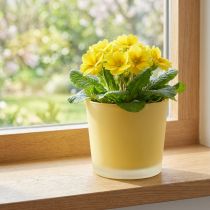 Prodotto Vaso per fiori in vetro fioriera gialla vasca in vetro Ø10cm H8.5cm