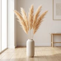 Prodotto Asparagi ornamentali Fiori secchi Colore albicocca 90cm 5pz