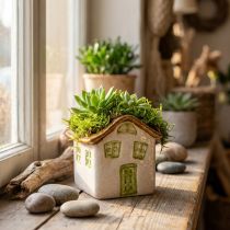 Prodotto Casetta in ceramica per piante, stile rustico per un'atmosfera accogliente, 11 cm