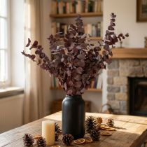 Prodotto Rami di eucalipto, eucalipto conservato, fiori secchi, rossi, 75 cm, 150 g