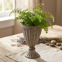 Prodotto Fioriera trofeo decorativa aspetto antico grigio marrone Ø13cm H19cm