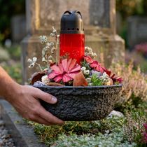 Prodotto Oasis Black Biolit Ciotola per piante Ciotola per fiori Nera Ø26cm