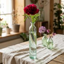 Prodotto Vaso decorativo per bottiglia, in vetro, trasparente/verde, stile retrò, Ø6,5 cm, H30 cm