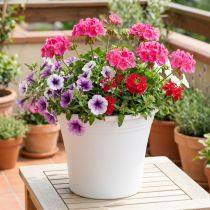Prodotto Vaso in plastica “Irys” bianco Ø22cm H18cm 1 pezzo
