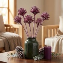 Prodotto Leucospermum 1 mora glassata 25 pz