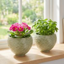 Prodotto Vaso decorativo in ceramica verde Ø15cm H11cm 2pz