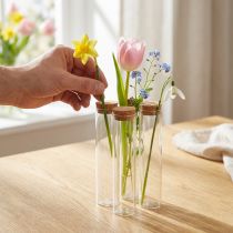 Prodotto Vaso decorativo per provette con coperchio in sughero Ø4cm H18cm 6 pz