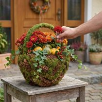 Prodotto Cesto rustico per piante con muschio e pigne - cesto decorativo con manico Ø32cm H42cm - decorazione versatile per giardino e casa