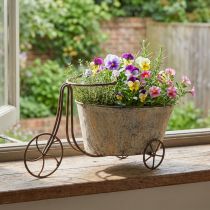 Prodotto Piantare vaso di fiori per bicicletta bicicletta ruggine grigio 34×16×18cm