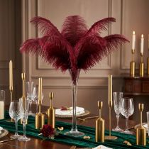 Prodotto Piume di struzzo vere piume decorazione rosso vino 20-25 cm 12 pz