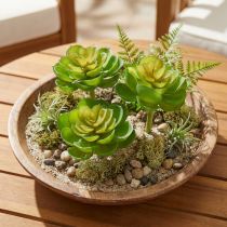 Prodotto Echeveria Succulente Artificiali Verdi Ø7cm 6 pz