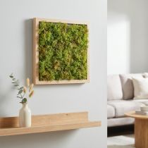 Prodotto Tappetino in muschio artificiale – perfetto per quadri di muschio verde chiaro 25×25 cm