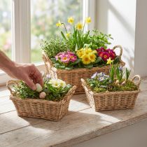 Prodotto Cesto per piante rettangolare in vimini naturale 39/33/27 cm set da 3