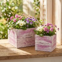 Prodotto Cassetto per piante con maniglia in legno bianco rosa 12/15 cm set da 2