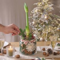 Prodotto Vaso decorativo in vetro lanterna in vetro trasparente Ø18cm H20cm