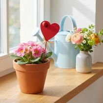 Prodotto Tappi cuore cuori decorativi rossi in legno con coccinelle 6 cm 16 pz