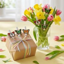 Prodotto Farfalla decorativa a clip, decoro regalo, primavera, farfalle in legno 6 pezzi