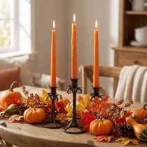 Prodotto Candele coniche, candele a bastoncino, candele Wenzel, arancione, 250/23 mm, 12 pezzi