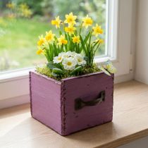 Prodotto Cassetto per piante in legno scatola decorativa per piante viola 12,5 cm