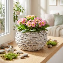 Prodotto Cesto portavasi rotondo bianco lavato Ø22cm H13cm Vaso da fiori Decorazione
