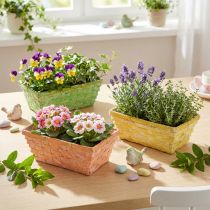 Prodotto Set cestini porta patatine quadrati multicolore 20/11 cm 8 pezzi