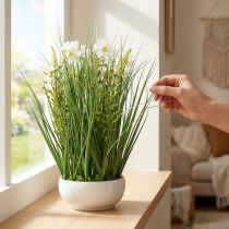 Prodotto Erba decorativa con fiori di Cosmea in ciotola H45cm