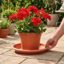 Prodotto Sottobicchiere “Linda” Ø37cm terracotta