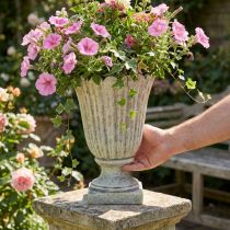 Prodotto Vaso Pietra fusa Coppa Stile antico grigio Ø17,5cm A25cm