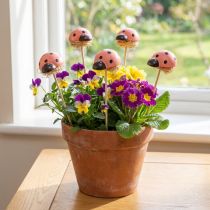Prodotto Tappi decorativi per fiori coccinella legno colorato 3,5 cm 24 pz