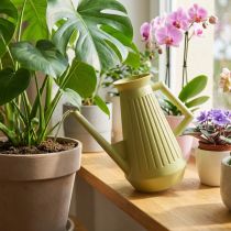 Prodotto Annaffiatoio da interno, verde oliva, stile retrò, 24,5 cm, 1,8 l, annaffiatoio di design, plastica, irrigazione delle piante