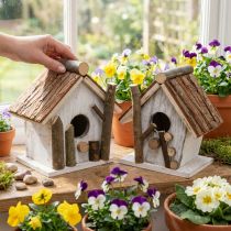 Prodotto Casetta per uccelli decorativa per decorare la natura 14,5 2 pz