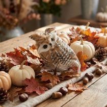 Prodotto Gufo della foresta, decorazione autunnale, gufo decorativo, Halloween H16cm
